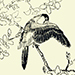 Gyoshi Kosoku Gallery